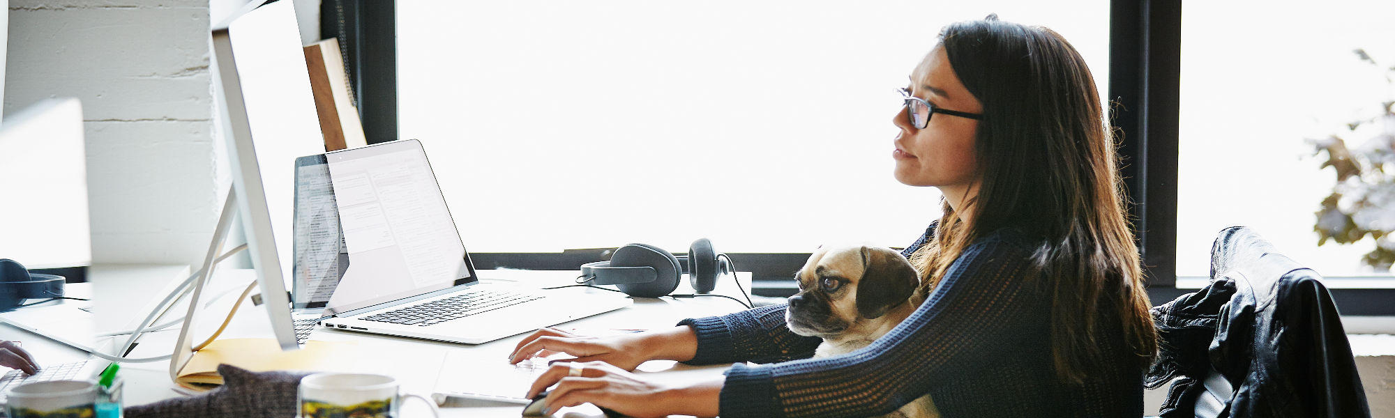 girl working in office with laptop and dog on her lap