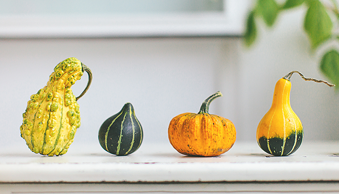 Four different gourds